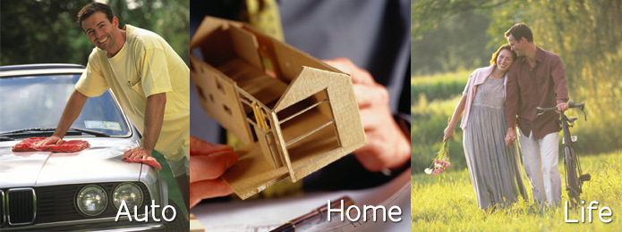Auto Insurance, Home Insurance, Life Insurance